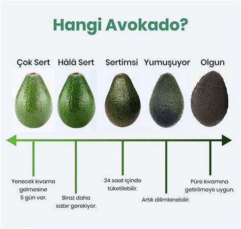avokado nasıl tüketilmelidir
